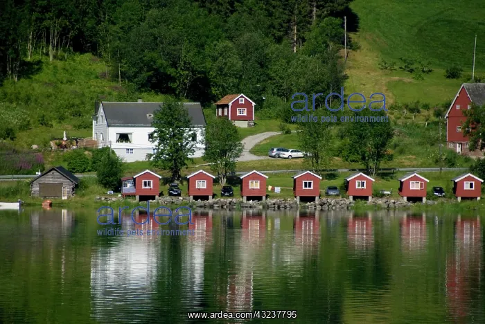 : Norway, Hornindal. View from scenic by-way : Norway, Hornindal. View from scenic by-way