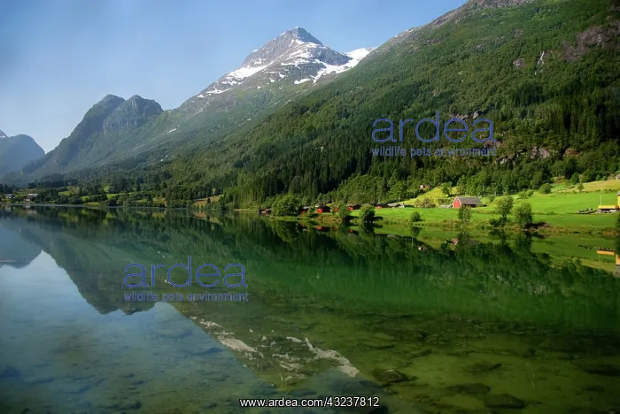 : Norway, Hornindal. View from scenic by-way : Norway, Hornindal. View from scenic by-way