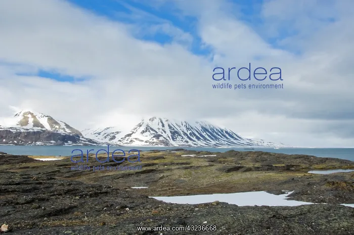 : Norway. Lerneroyane or Lerner Islands Svalbard : Norway. Lerneroyane or Lerner Islands Svalbard