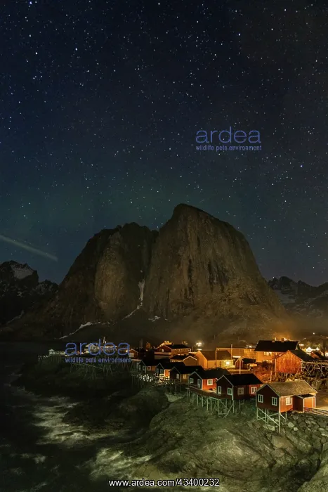 : Norway, Lofoten Islands. Aurora Borealis In the : Norway, Lofoten Islands. Aurora Borealis In the