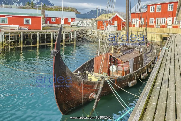 : Norway, Lofoten Islands. Ballstadoy from across the lake : Norway, Lofoten Islands. Ballstadoy from across the lake