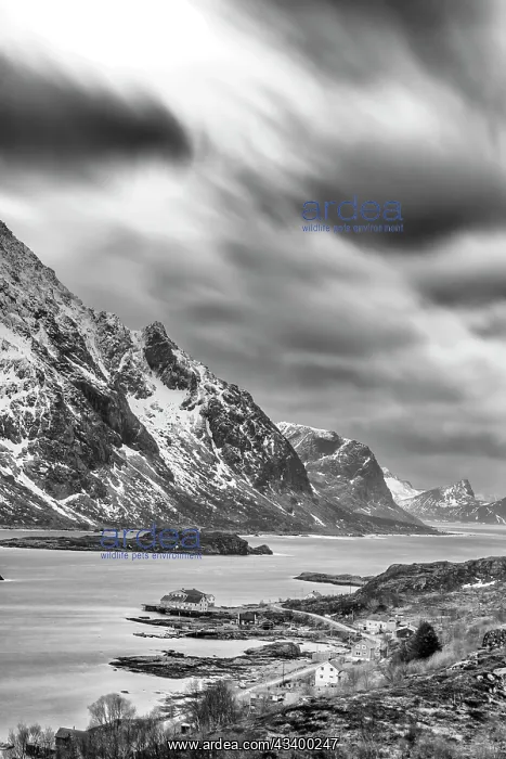 : Norway, Lofoten Islands. Fjord at Mount Himmeltinden : Norway, Lofoten Islands. Fjord at Mount Himmeltinden