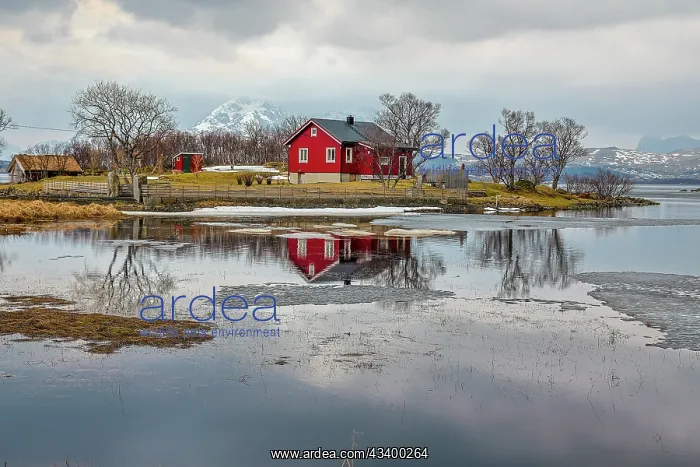 : Norway, Lofoten Islands. View across Indrepollen Lake : Norway, Lofoten Islands. View across Indrepollen Lake