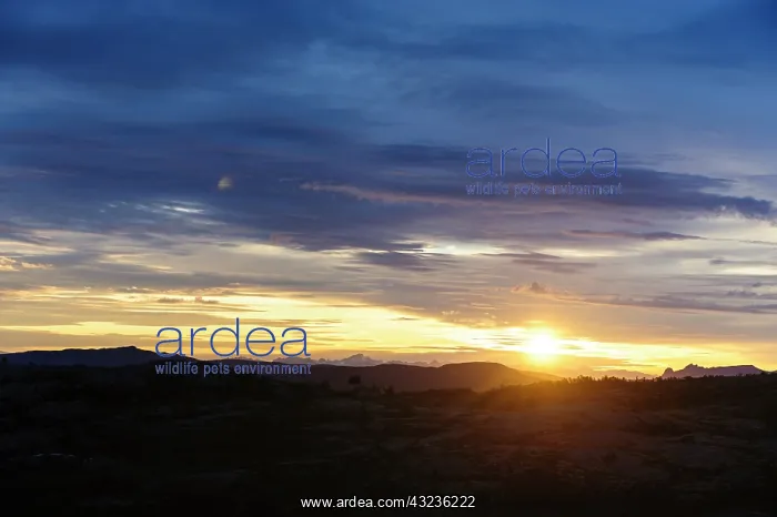 : Norway. Midnight sun, the sun is still : Norway. Midnight sun, the sun is still