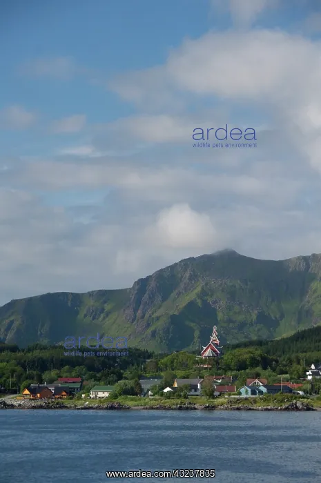 : Norway, Nordland, Lofoten Archipelago, Gravdal : Norway, Nordland, Lofoten Archipelago, Gravdal