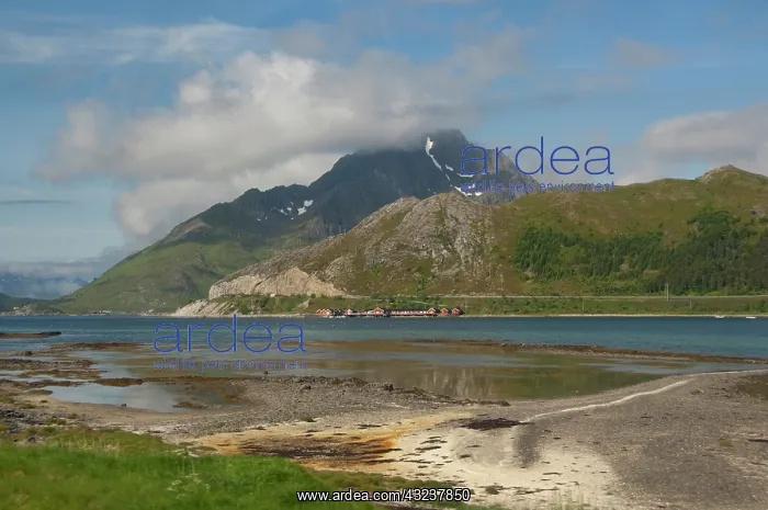 : Norway, Nordland, Lofoten Archipelago, Gravdal : Norway, Nordland, Lofoten Archipelago, Gravdal