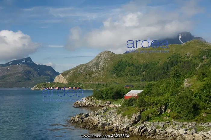 : Norway, Nordland, Lofoten Archipelago, Gravdal