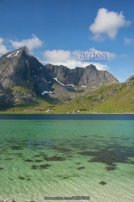 : Norway, Nordland, Lofoten Archipelago, Gravdal : Norway, Nordland, Lofoten Archipelago, Gravdal