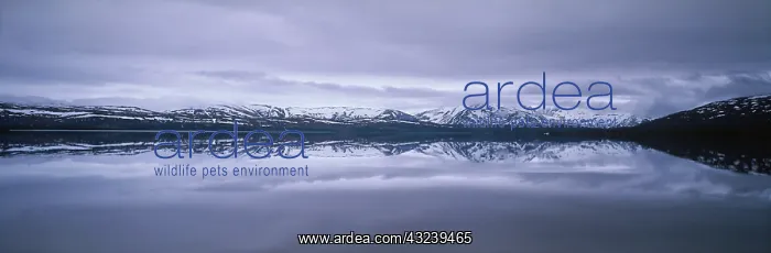 : Norway, Polar Circle, Lake and Mountain : Norway, Polar Circle, Lake and Mountain