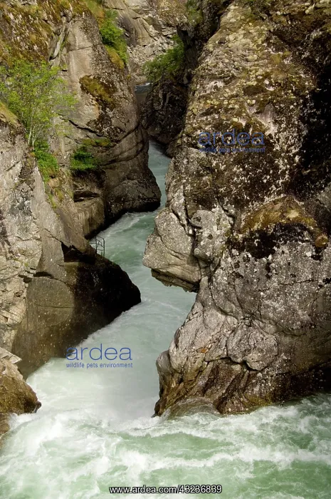 : Norway, roadside views along the scenic : Norway, roadside views along the scenic