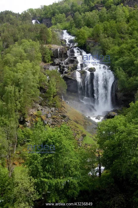 : Norway, roadside views along the scenic : Norway, roadside views along the scenic