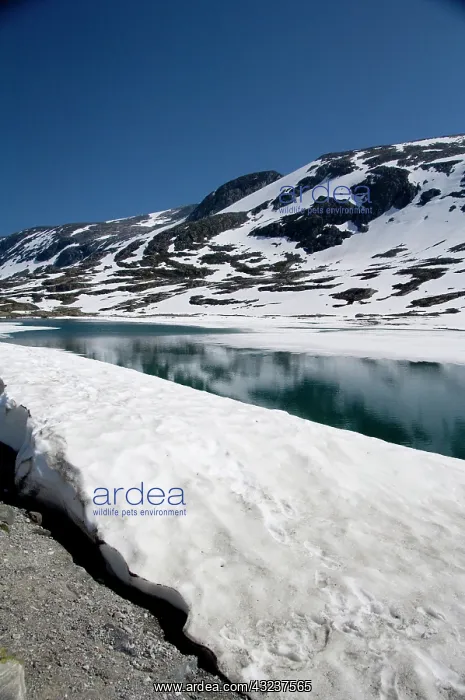 : Norway, Scenic area between Geiranger & : Norway, Scenic area between Geiranger &