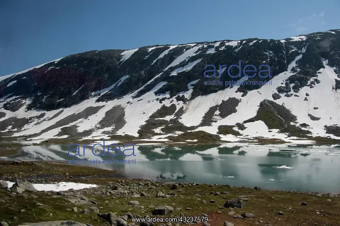 : Norway, Scenic area between Geiranger & : Norway, Scenic area between Geiranger &