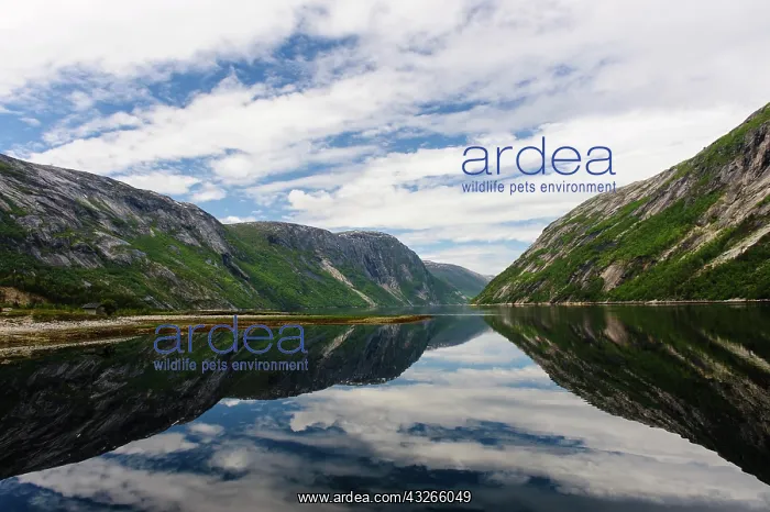 : Norway. Scenic view of the fjord from Hellmobotn : Norway. Scenic view of the fjord from Hellmobotn
