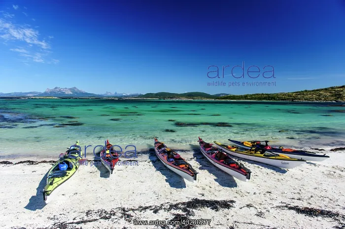 : Norway. Sea kayaks on a coral-sand beach : Norway. Sea kayaks on a coral-sand beach