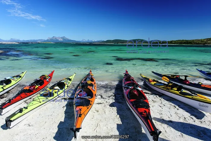 : Norway. Sea kayaks on a coral-sand beach : Norway. Sea kayaks on a coral-sand beach
