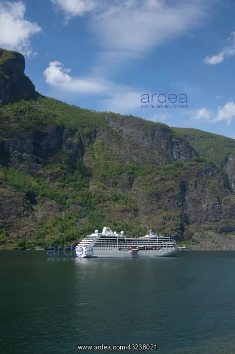 : Norway, Sogne Fjord (aka Sognefjord), the : Norway, Sogne Fjord (aka Sognefjord), the