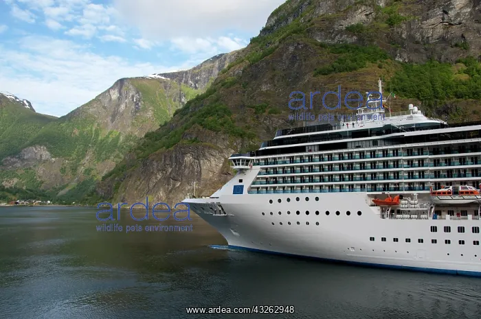  : Norway, Sogne Fjord (aka Sognefjord), the