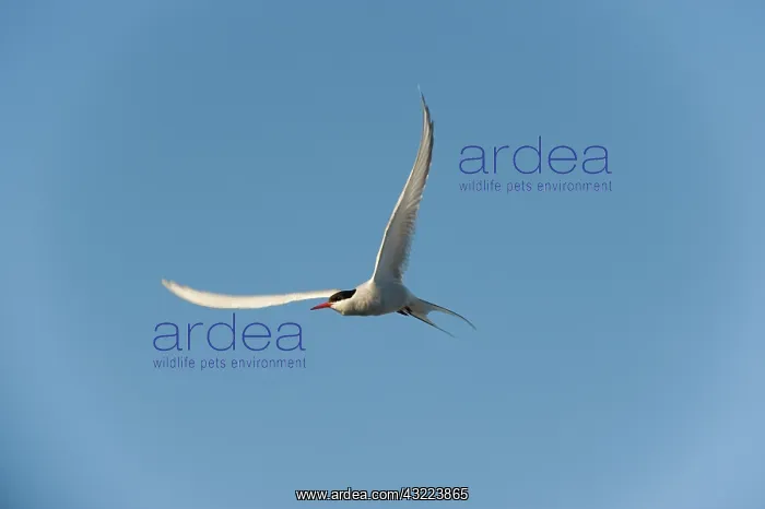 : Norway, Spitsbergen, Longyearbyen. Arctic : Norway, Spitsbergen, Longyearbyen. Arctic