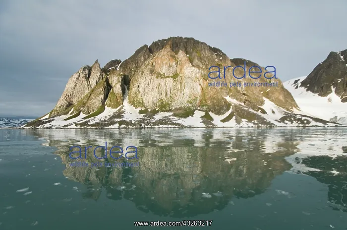  : Norway, Spitsbergen, Raudfjorden. Steep