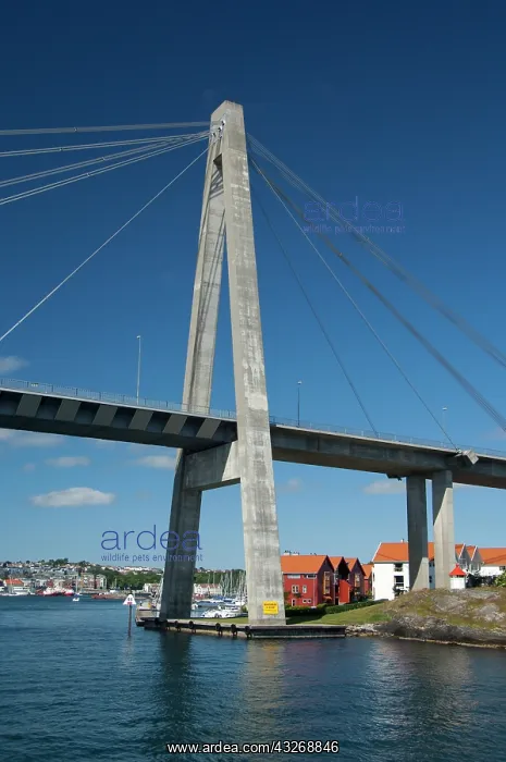 : Norway, Stavanger. Bridge from Stavanger : Norway, Stavanger. Bridge from Stavanger