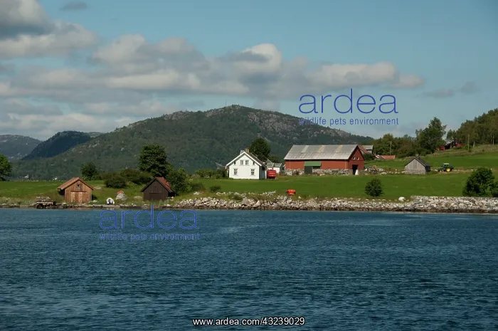 : Norway, Stavanger, Hogsfjorden. Typical : Norway, Stavanger, Hogsfjorden. Typical