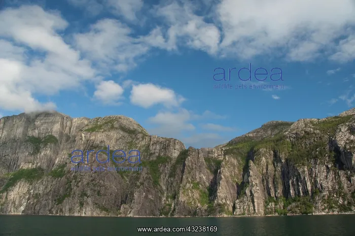 : Norway, Stavanger, Lysefjord (aka Lyse Fjord) : Norway, Stavanger, Lysefjord (aka Lyse Fjord)