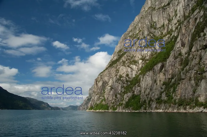 : Norway, Stavanger, Lysefjord (aka Lyse Fjord) : Norway, Stavanger, Lysefjord (aka Lyse Fjord)