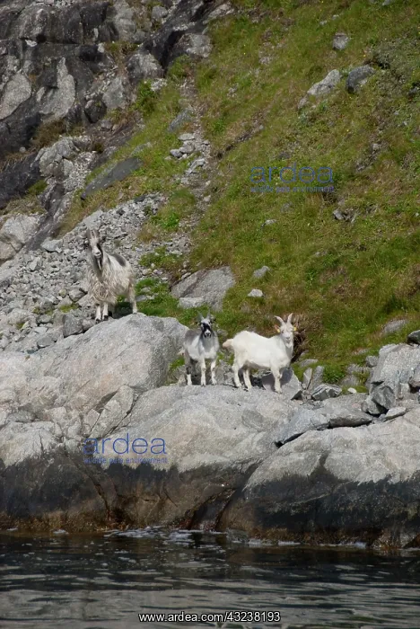 : Norway, Stavanger, Lysefjord (aka Lyse Fjord) : Norway, Stavanger, Lysefjord (aka Lyse Fjord)