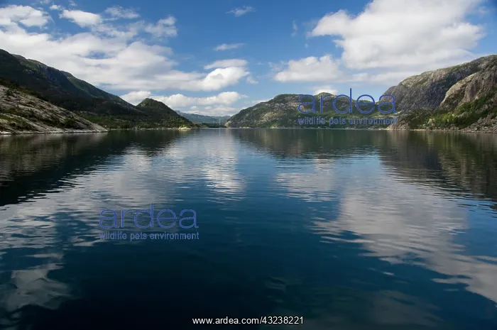 : Norway, Stavanger, Lysefjord (aka Lyse Fjord) : Norway, Stavanger, Lysefjord (aka Lyse Fjord)