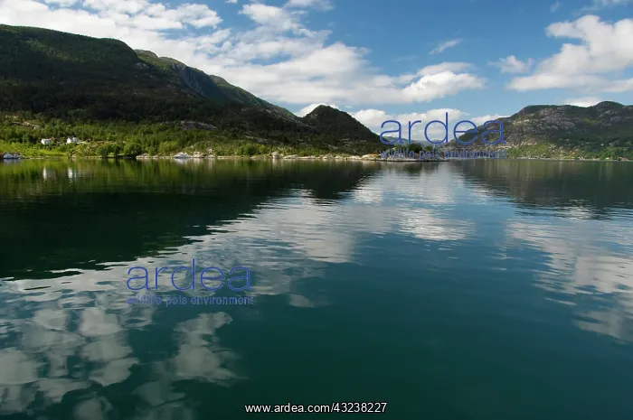 : Norway, Stavanger, Lysefjord (aka Lyse Fjord)