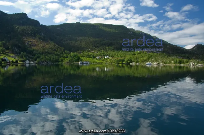  : Norway, Stavanger, Lysefjord (aka Lyse Fjord)