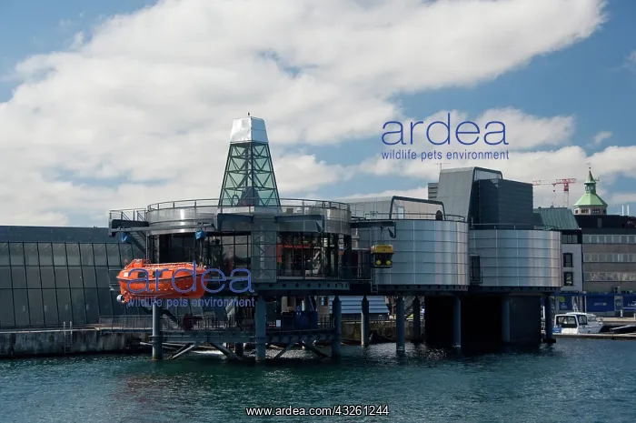 : Norway, Stavanger. Petroleum Museum, dedicated : Norway, Stavanger. Petroleum Museum, dedicated