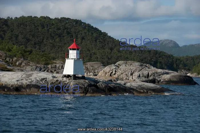 : Norway, Stavanger. Views along Lysefjord : Norway, Stavanger. Views along Lysefjord