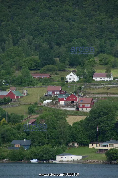 : Norway, Stavanger. Views along Lysefjord : Norway, Stavanger. Views along Lysefjord