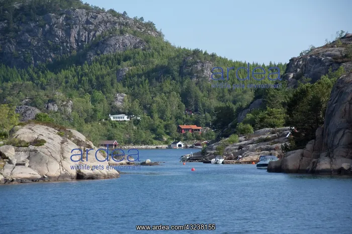 : Norway, Stavanger. Views along Lysefjord : Norway, Stavanger. Views along Lysefjord