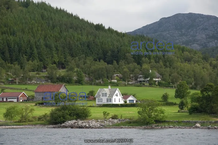 : Norway, Stavanger. Views along Lysefjord : Norway, Stavanger. Views along Lysefjord