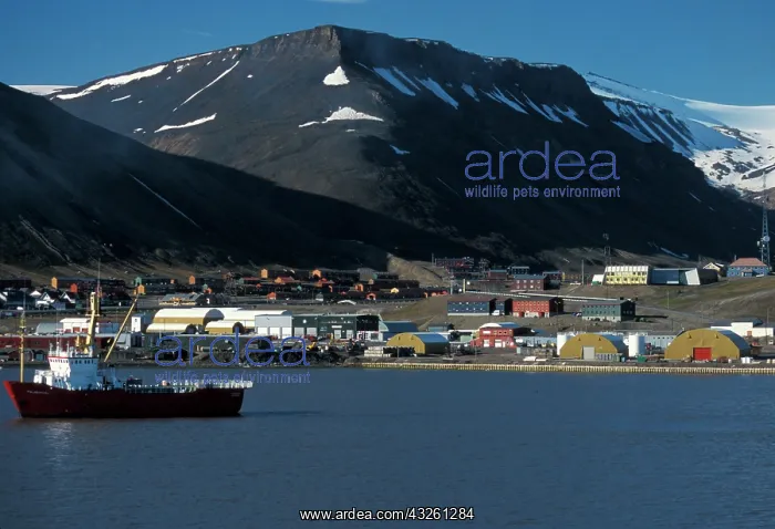 : Norway, Sualbard. Port : Norway, Sualbard. Port