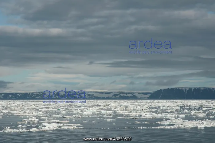 : Norway, Svalbard Archipelago, Freemansund : Norway, Svalbard Archipelago, Freemansund