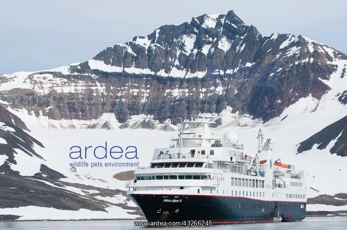  : Norway, Svalbard Archipelago, Hornsund