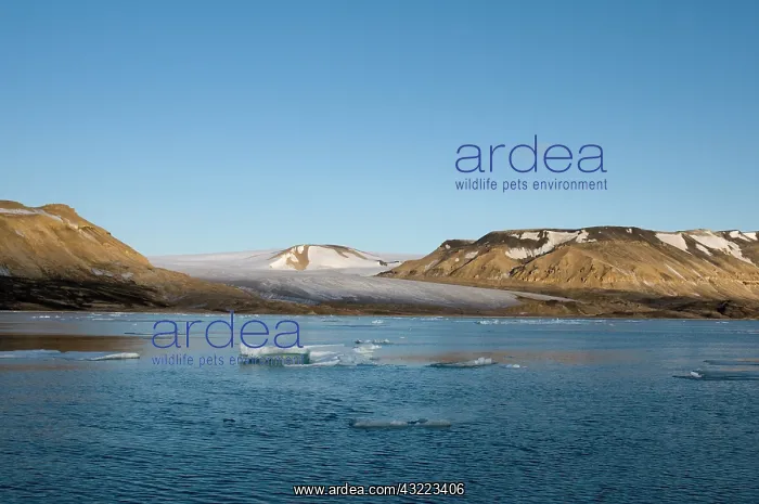 : Norway, Svalbard Archipelago, Spitsbergen : Norway, Svalbard Archipelago, Spitsbergen