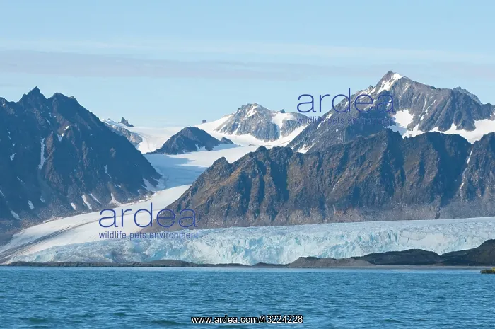 : Norway, Svalbard Archipelago, Spitsbergen : Norway, Svalbard Archipelago, Spitsbergen