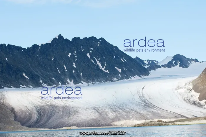 : Norway, Svalbard Archipelago, Spitsbergen : Norway, Svalbard Archipelago, Spitsbergen