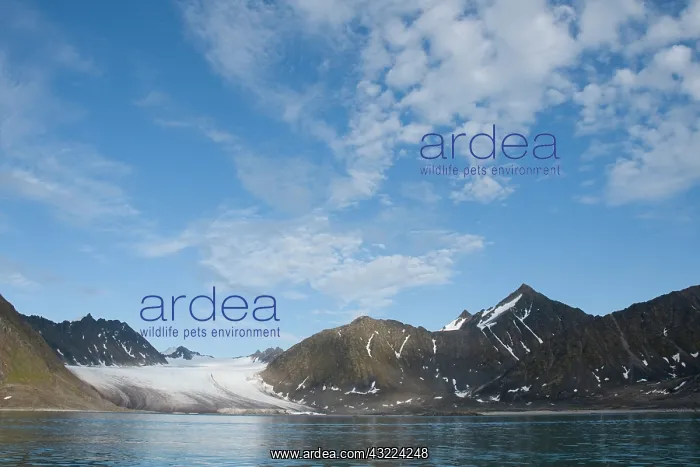 : Norway, Svalbard Archipelago, Spitsbergen : Norway, Svalbard Archipelago, Spitsbergen