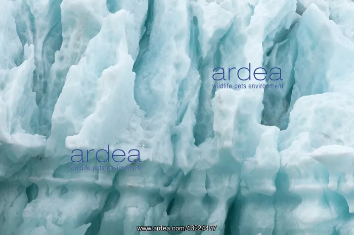 : Norway, Svalbard Archipelago, Spitsbergen : Norway, Svalbard Archipelago, Spitsbergen