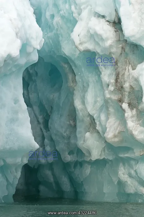 : Norway, Svalbard Archipelago, Spitsbergen : Norway, Svalbard Archipelago, Spitsbergen