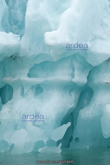 : Norway, Svalbard Archipelago, Spitsbergen : Norway, Svalbard Archipelago, Spitsbergen