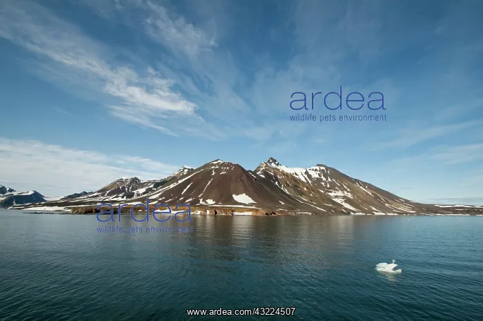 : Norway, Svalbard Archipelago, Spitsbergen : Norway, Svalbard Archipelago, Spitsbergen