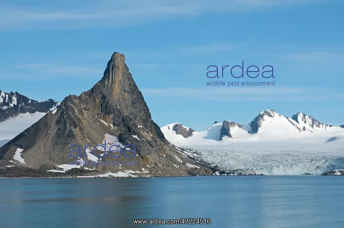 : Norway, Svalbard Archipelago, Spitsbergen : Norway, Svalbard Archipelago, Spitsbergen