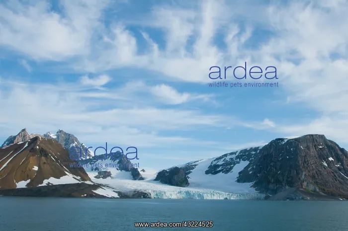 : Norway, Svalbard Archipelago, Spitsbergen : Norway, Svalbard Archipelago, Spitsbergen